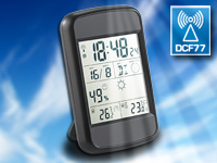 ; Hygrometer Thermometer mit Schimmel Alarm 