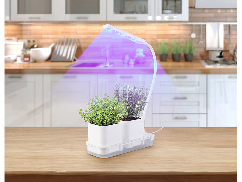 ; Pflanzen-Anzucht-Sets, Anzucht-StationenAnzucht-SetsAnzucht-GewächshäuserAnzuchtglocken Kräuter Sämlinge Ansaaten Pflanzen-Bewässerungssysteme Wasserspeicher BalkonkästenBlumenkästen Lampen indoor Beleuchtungen Pflanzen Anzuchtpaletten Saatschalen ZuchttöpfeBewässerungssysteme Treibhäuser Bewässerung Wasserspender Bewässerungsets Frühbeete Kästen DekosKüchenkräuter-TöpfePflanzenanzucht-SystemeAufzucht-StationenTopfpflanzen Blumen Gärten Balkone Aussaaten Töpfe Zimmerpflanzen grow Pflanzentöpfe BlumentöpfeGewächshäuser Bewässerungsysteme Multitöpfe Multitopfpaletten Jungpflanzen Anzuchterden PflanztöpfeAnzuchtstationenAnzuchttöpfeAnzuchtsetsPflanzenlichterPflanzenanzuchtsysteme mit Wachstumslicht Garden kleine HausgärtenZimmergewächshaus-SetsAnzuchthäuserPflanzentöpfeMini-GewächshäuserSelbstbewässerungs Schnittknoblauch Fensterbänke Geschenksets KüchenKräuterküchen Gewürzkräuter Bärlauch Kräutermischungen Tropfbewässerungs gesundePflanzenleuchtenAufzuchttöpfeAufzuchten Kräutergärten Geschenke Nature Topfplatten Samen ErdeKräutertöpfeBiologische Heilpflanzen Basilicum Heilkräuter Kräuterhänger Majoran ErntenMinze Hydro Gewürze Schalen frische farbige automatische Watering zu Hause WuchsPflanztöpfeSaattöpfePlants Spektrum Pflanzenbeleuchtungen Spectrum Pflanzenhäuser Kochen VollspektrumAufzuchtstationenAufzuchtsetsGartenpflanzen Growzelte Start Growschränke Zuchtschränke Gärtnerboxen Boxen Anbauen Sorte HerbsGrowboxenZimmergewächshäuserBlumenübertöpfe Pflanzs-Töpfchen Übertöpfe Untersetzer viereckigeZimmer-GewächshäuserKräuterkästenWasserspeicher Sets Packs Kits Kulturtöpfe eckige Würfel Cubes flache schmale dünneSchnittlauch Pflanztröge Liebstöckel Dill Thymian Koriander KräutersamenPetersilie Liebstock Saatgut Basilikum aromatische Kräuterboxen nachhaltigePflanzbeete Kräuterbeete Gemüsebeete Blumenkübel Frühbeetkästen Pflanzkübel Gemüse SaatenWachstums Komplettsets Leuchten Treibhauskeimungen Seeds Keimschalen Gartenkräuter MaggikräuterBehälter Frauen Männer Senioren Lights Bio Fensterbankgefäße Geschenkideen WasserpumpenWachstumslampenSamenstarterschalenPflanzkörbe Blumentröge Pflanz Pflanzsäulen Dekosäulen Terrassen Kübel PflanzhäuserHeim Kunststoffe innen grüne Home Pflanzer Häuser Wasser gießen Plastik ZuchtboxenPflanzkästenSämlingboxen Pflanzen-Anzucht-Sets, Anzucht-StationenAnzucht-SetsAnzucht-GewächshäuserAnzuchtglocken Kräuter Sämlinge Ansaaten Pflanzen-Bewässerungssysteme Wasserspeicher BalkonkästenBlumenkästen Lampen indoor Beleuchtungen Pflanzen Anzuchtpaletten Saatschalen ZuchttöpfeBewässerungssysteme Treibhäuser Bewässerung Wasserspender Bewässerungsets Frühbeete Kästen DekosKüchenkräuter-TöpfePflanzenanzucht-SystemeAufzucht-StationenTopfpflanzen Blumen Gärten Balkone Aussaaten Töpfe Zimmerpflanzen grow Pflanzentöpfe BlumentöpfeGewächshäuser Bewässerungsysteme Multitöpfe Multitopfpaletten Jungpflanzen Anzuchterden PflanztöpfeAnzuchtstationenAnzuchttöpfeAnzuchtsetsPflanzenlichterPflanzenanzuchtsysteme mit Wachstumslicht Garden kleine HausgärtenZimmergewächshaus-SetsAnzuchthäuserPflanzentöpfeMini-GewächshäuserSelbstbewässerungs Schnittknoblauch Fensterbänke Geschenksets KüchenKräuterküchen Gewürzkräuter Bärlauch Kräutermischungen Tropfbewässerungs gesundePflanzenleuchtenAufzuchttöpfeAufzuchten Kräutergärten Geschenke Nature Topfplatten Samen ErdeKräutertöpfeBiologische Heilpflanzen Basilicum Heilkräuter Kräuterhänger Majoran ErntenMinze Hydro Gewürze Schalen frische farbige automatische Watering zu Hause WuchsPflanztöpfeSaattöpfePlants Spektrum Pflanzenbeleuchtungen Spectrum Pflanzenhäuser Kochen VollspektrumAufzuchtstationenAufzuchtsetsGartenpflanzen Growzelte Start Growschränke Zuchtschränke Gärtnerboxen Boxen Anbauen Sorte HerbsGrowboxenZimmergewächshäuserBlumenübertöpfe Pflanzs-Töpfchen Übertöpfe Untersetzer viereckigeZimmer-GewächshäuserKräuterkästenWasserspeicher Sets Packs Kits Kulturtöpfe eckige Würfel Cubes flache schmale dünneSchnittlauch Pflanztröge Liebstöckel Dill Thymian Koriander KräutersamenPetersilie Liebstock Saatgut Basilikum aromatische Kräuterboxen nachhaltigePflanzbeete Kräuterbeete Gemüsebeete Blumenkübel Frühbeetkästen Pflanzkübel Gemüse SaatenWachstums Komplettsets Leuchten Treibhauskeimungen Seeds Keimschalen Gartenkräuter MaggikräuterBehälter Frauen Männer Senioren Lights Bio Fensterbankgefäße Geschenkideen WasserpumpenWachstumslampenSamenstarterschalenPflanzkörbe Blumentröge Pflanz Pflanzsäulen Dekosäulen Terrassen Kübel PflanzhäuserHeim Kunststoffe innen grüne Home Pflanzer Häuser Wasser gießen Plastik ZuchtboxenPflanzkästenSämlingboxen Pflanzen-Anzucht-Sets, Anzucht-StationenAnzucht-SetsAnzucht-GewächshäuserAnzuchtglocken Kräuter Sämlinge Ansaaten Pflanzen-Bewässerungssysteme Wasserspeicher BalkonkästenBlumenkästen Lampen indoor Beleuchtungen Pflanzen Anzuchtpaletten Saatschalen ZuchttöpfeBewässerungssysteme Treibhäuser Bewässerung Wasserspender Bewässerungsets Frühbeete Kästen DekosKüchenkräuter-TöpfePflanzenanzucht-SystemeAufzucht-StationenTopfpflanzen Blumen Gärten Balkone Aussaaten Töpfe Zimmerpflanzen grow Pflanzentöpfe BlumentöpfeGewächshäuser Bewässerungsysteme Multitöpfe Multitopfpaletten Jungpflanzen Anzuchterden PflanztöpfeAnzuchtstationenAnzuchttöpfeAnzuchtsetsPflanzenlichterPflanzenanzuchtsysteme mit Wachstumslicht Garden kleine HausgärtenZimmergewächshaus-SetsAnzuchthäuserPflanzentöpfeMini-GewächshäuserSelbstbewässerungs Schnittknoblauch Fensterbänke Geschenksets KüchenKräuterküchen Gewürzkräuter Bärlauch Kräutermischungen Tropfbewässerungs gesundePflanzenleuchtenAufzuchttöpfeAufzuchten Kräutergärten Geschenke Nature Topfplatten Samen ErdeKräutertöpfeBiologische Heilpflanzen Basilicum Heilkräuter Kräuterhänger Majoran ErntenMinze Hydro Gewürze Schalen frische farbige automatische Watering zu Hause WuchsPflanztöpfeSaattöpfePlants Spektrum Pflanzenbeleuchtungen Spectrum Pflanzenhäuser Kochen VollspektrumAufzuchtstationenAufzuchtsetsGartenpflanzen Growzelte Start Growschränke Zuchtschränke Gärtnerboxen Boxen Anbauen Sorte HerbsGrowboxenZimmergewächshäuserBlumenübertöpfe Pflanzs-Töpfchen Übertöpfe Untersetzer viereckigeZimmer-GewächshäuserKräuterkästenWasserspeicher Sets Packs Kits Kulturtöpfe eckige Würfel Cubes flache schmale dünneSchnittlauch Pflanztröge Liebstöckel Dill Thymian Koriander KräutersamenPetersilie Liebstock Saatgut Basilikum aromatische Kräuterboxen nachhaltigePflanzbeete Kräuterbeete Gemüsebeete Blumenkübel Frühbeetkästen Pflanzkübel Gemüse SaatenWachstums Komplettsets Leuchten Treibhauskeimungen Seeds Keimschalen Gartenkräuter MaggikräuterBehälter Frauen Männer Senioren Lights Bio Fensterbankgefäße Geschenkideen WasserpumpenWachstumslampenSamenstarterschalenPflanzkörbe Blumentröge Pflanz Pflanzsäulen Dekosäulen Terrassen Kübel PflanzhäuserHeim Kunststoffe innen grüne Home Pflanzer Häuser Wasser gießen Plastik ZuchtboxenPflanzkästenSämlingboxen 